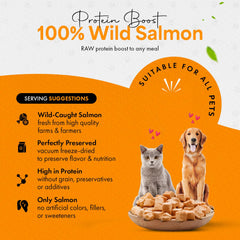 Chef Kitty 100% wild-caught salmon product photo underscoring high-quality protein for pets.