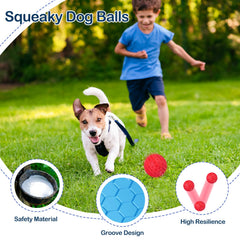 Cheodin ball floats for pool or beach days, ideal for fetch and training.