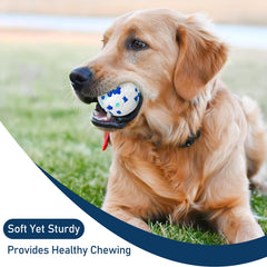 CHEODIN indestructible dog balls bite-proof design for tough chewers during fetch.