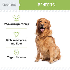 Chew + Heal Labs cranberries and blueberries feature vitamins, minerals, and fiber