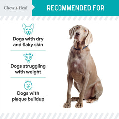 Chew + Heal Labs kelp granules close-up highlights mineral-rich texture.