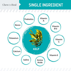 Chew + Heal Labs kelp powder spoon shows precise 5cc serving for daily use.