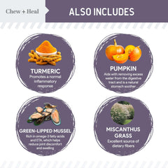 Chew + Heal Labs Senior Soft Jerky Salmon ingredients list featuring wild salmon and pumpkin
