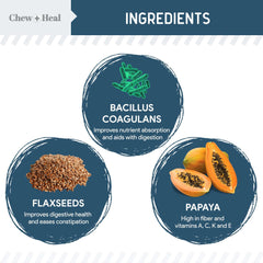 Chew + Heal Labs soft chicken-flavored chews ready for dogs.