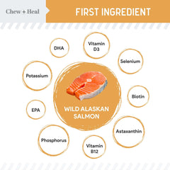 Soft salmon treats close-up showing easy-to-chew texture for dogs.