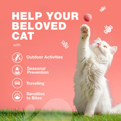 CHEWIA Cat Flea Treatment packaging front shows branding and clear dosing.