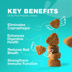 Chewia No Poo Chews with digestive enzymes visual emphasis on digestive enzyme support.