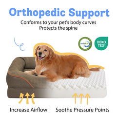 Chez Paw orthopedic foam close-up shows high-density support for joints and spine.