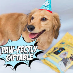 Chippin dog birthday soft treat with wild-caught fish highlight, savory aroma.