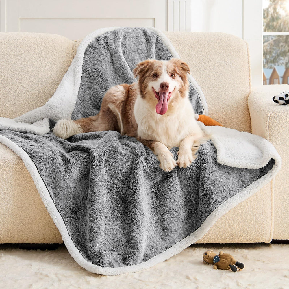 ChiXnuggle dog blanket waterproof on couch protects furniture from spills.