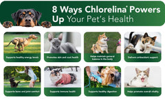 Chlorelina closeup of chlorella and spirulina — vitality for pets.