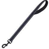 CHMETE heavy-duty dog leash with padded handle provides comfortable control on daily walks.