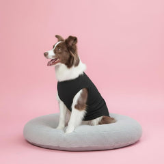 Chol&Vivi dog shirts close-up shows stitching and snug ribbed hems