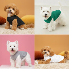 Chol&Vivi XX-Large dog shirt back view shows secure fit for daily play