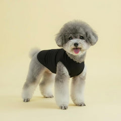 Chol&Vivi t-shirts on small dog model demonstrate breathable, comfortable fit