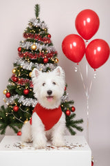 Cholvivi plain dog shirt red back view emphasizes snug fit and durability.