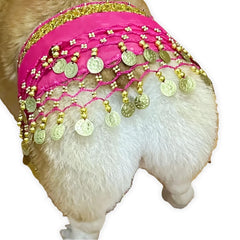 CHOWONE dogs belly dancer skirt with waist chain for playful photoshoots.