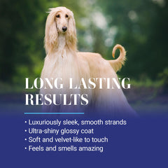 Chris Christensen Ice on Ice Detangling Conditioner dog bathroom scene implies tangle-free detangling