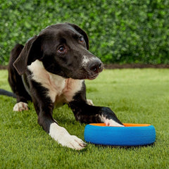 Chuckit! Fetch Wheel small dog toy durable canvas-nylon for tough play.