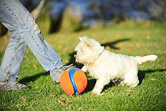 Chuckit Kick Fetch Ball used for water play with float-friendly design.