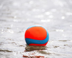 Chuckit Amphibious Mega Ball gentle on teeth during fetch sessions.