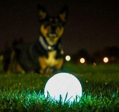 Pelota Chuckit! luminosa de tamaño mediano, perfecta para sesiones nocturnas con tu perro