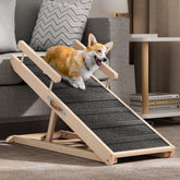 Chuiendi dog ramp bed-use-setup improves bed and sofa access