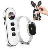 Chupolik ultra-small dog collar shown on a small dog for featherweight comfort and daily training.