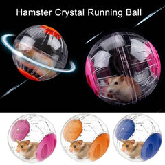 CHUQIANGTONG hamster exercise ball blue-color view offers stylish durable plastic for active pets