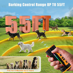 Chwwen dog bark deterrent LED flashlight image demonstrates nighttime visibility during walks