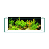 CICK SEED aquarium background with ultra HD graphics for vibrant underwater scenery