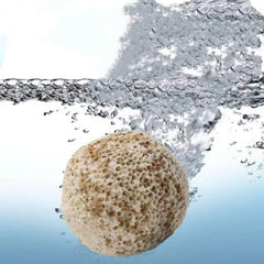 CIELONI yellow bacterial ring close-up illustrating biofilm development