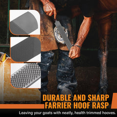 Ciltlurk dual-sided filing action demonstrates coarse and fine surfaces