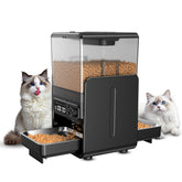 CityFlee automatic feeder front view shows multi-cat compatibility and programmable meals.