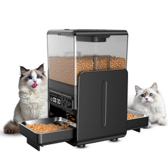 CityFlee automatic feeder front view shows multi-cat compatibility and programmable meals.
