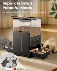 CityFlee adjustable-height feeder designed for two cats' comfort
