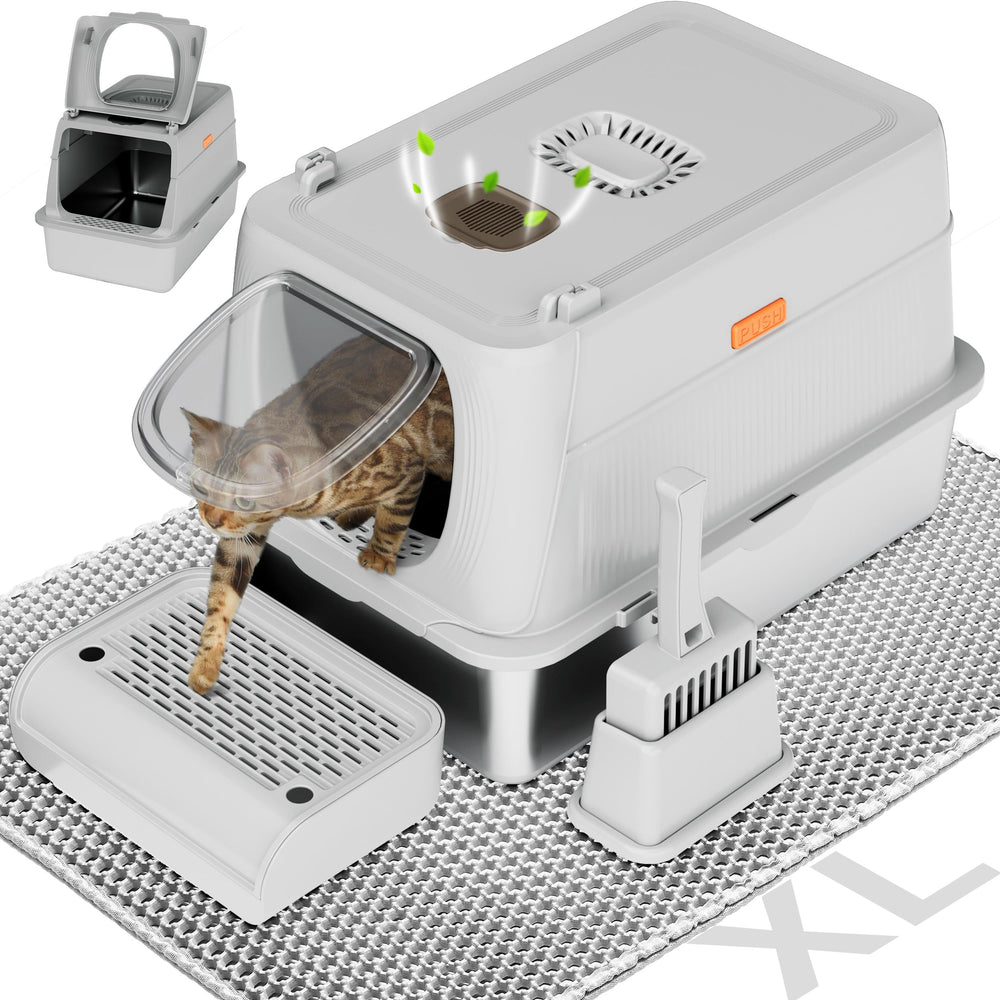 Citylife stainless-steel cat litter box XL lid shows spacious interior for large cats.