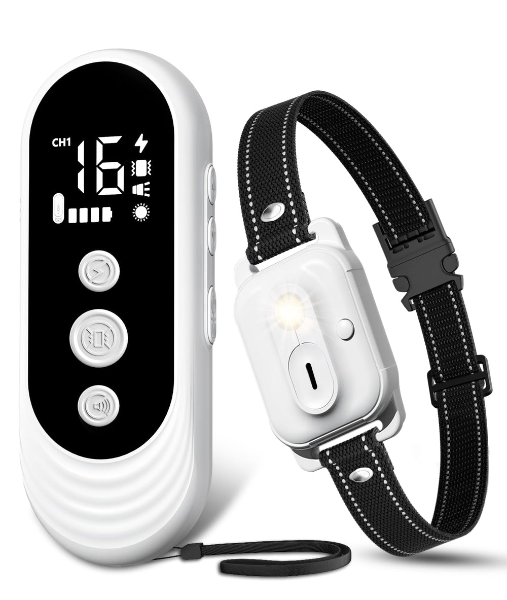 CIUZL dog shock collar remote for long-range training and recall practice.