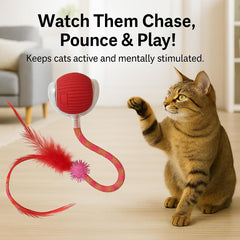 CKFPS ball featuring feather tail for varied chase sessions