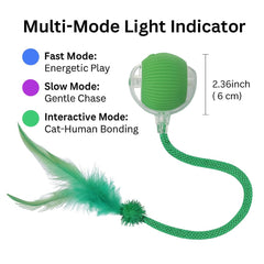 CKFPS cat toy green with tail attachments showing feather and spiral shapes for variety.