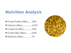 Classic Flock BSF larvae closeup dried natural protein source for poultry.