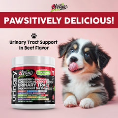 Clean Pets dandelion-root-dog-urinary-support image emphasizes herbal flow support.