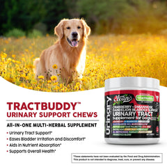 Clean Pets probiotic-soft-chews-dogs image showcases gut-friendly probiotic blend.