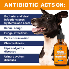Clear Max natural antibiotics for dogs pour demonstrates easy administration and dosing.
