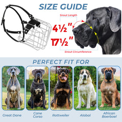 CleverTail XL adjustable leather straps demonstrate secure, comfortable fit.
