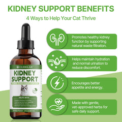 Clidelan Cat Kidney Support chicken flavor appealing to cats during appetite support.