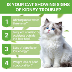 Clidelan Cat Kidney Support drops dispenser highlights easy daily administration and gentle care.