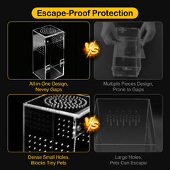 Clioran Jumping Spider Enclosure ventilation holes for steady airflow