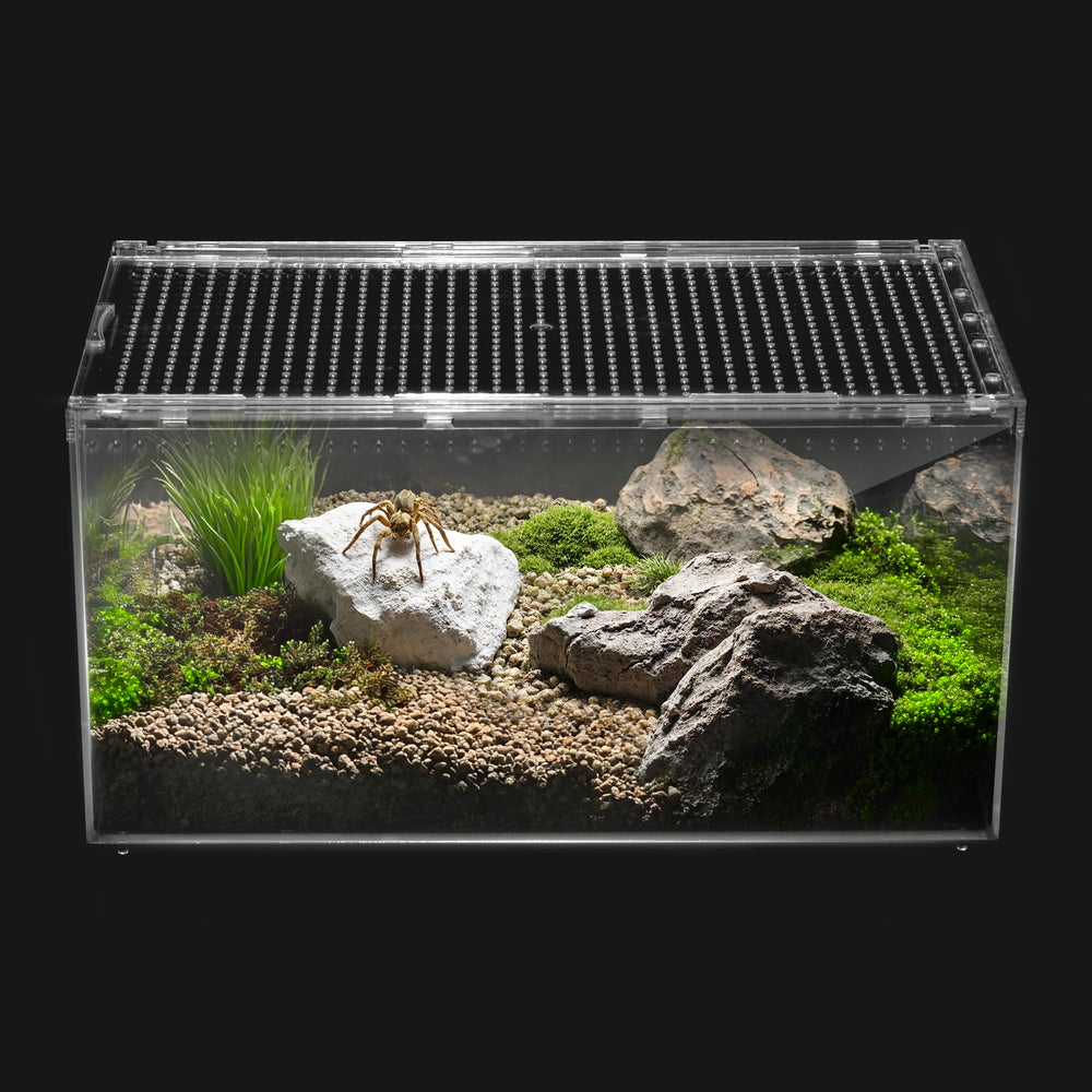 Clioran Reptile PC Terrarium 360-view for clear viewing of geckos and insects.