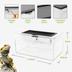 Clioran Reptile PC Terrarium 360° viewing for immersive habitat visibility.